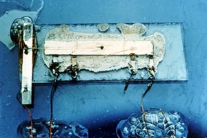 microchip microchip turns 50