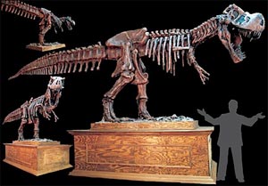 t-rex-animated-prop