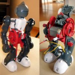co-robot
