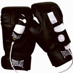 everlast wii gloves