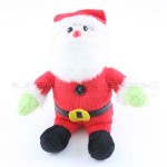 Santa webcam