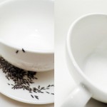 Ants on my cup and saucer