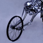 Bio Cyle
