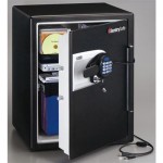 SentrySafe USB Safe