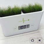 Timeless Garden