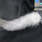 Cat Tail USB Drive