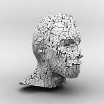 3D Tetris Head