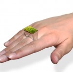 The Growing Ring