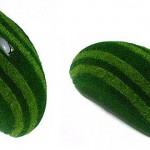 The Grass Covered Mouse