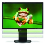 NEC Eco-Friendly LCD Monitor