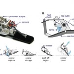 Energy-Recycling Artificial Foot