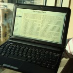 Pixel QI DIY Netbook Screens