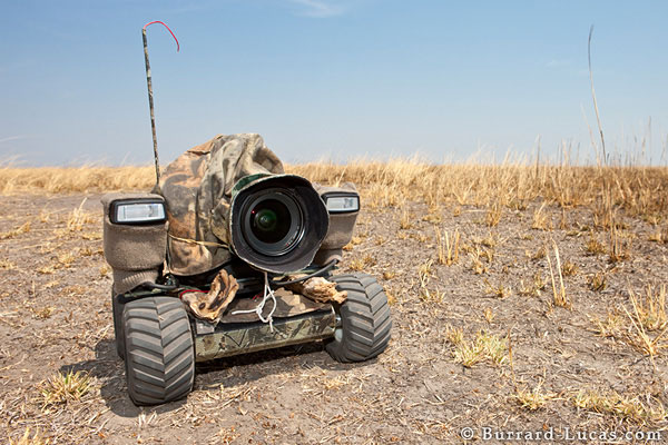 BeetleCam The All Terrain Camera