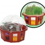 Grown Your Own Beer Garden