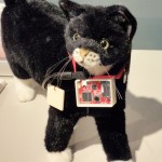 Sony's Latest Gadget Lets Your Cat Use Twitter