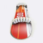 Flowlab Skateboard