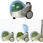 The Portable Watermelon Cooler
