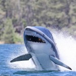 Seabreacher X Submarine Shark Can Go Airborne