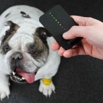 Find Your Missing Pets With This Loc8tor