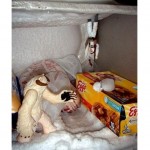 Luke Skywalker Is In Your Freezer And He Needs Help
