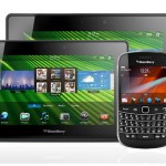 RIM Launching 10 Inch BlackBerry PlayBook This Year?