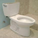Bill And Melinda Gates Foundation Want To Reinvent Toilets (Video)