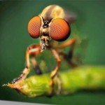 3Defy Enables You To Transform 2D Photos Into 3D Interactive Scenes (video)