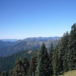 Scientists Converge For Sasquatch Hunt In Russia