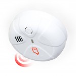 FireText Alerts You When Your House Is Burning Down