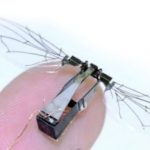 Miniature Surveillance Insects Under Development By The Military (video)