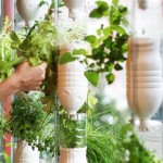 Windowfarm