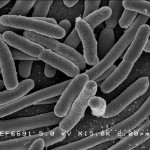 New Ozone And Hydrogen Superweapons Kills Bacteria Without Remorse