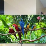 55-Inch OLED TV By LG Set For Release In 2nd Half