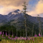 UniGine Valley Benchmark Unveiled (video)