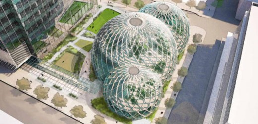 Amazon Biosphere