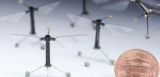 Flying Robot Insect
