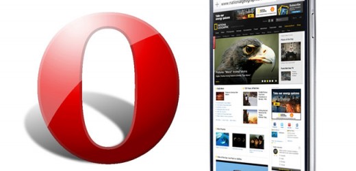 Opera Webkit Browser