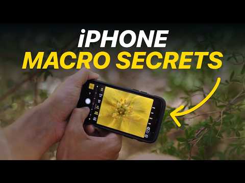 How to Master Macro Photography with Your iPhone - Geeky Gadgets