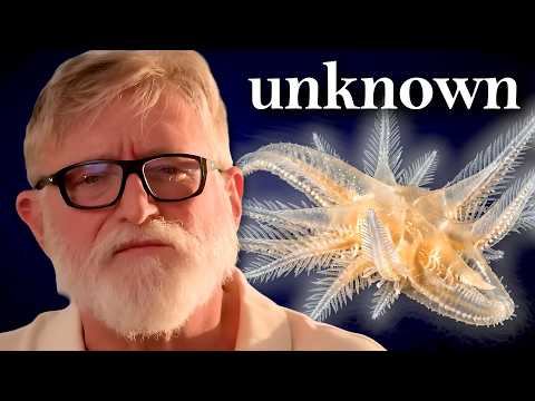 Gabe Newell's Submersible Uncovers Unknown Species in the Hadal Zone ...