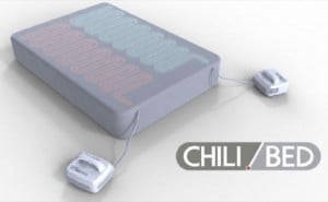 Chilli Bed