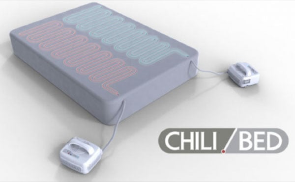 Chilli Bed