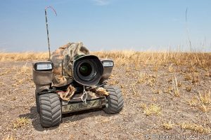 BeetleCam The All Terrain Camera