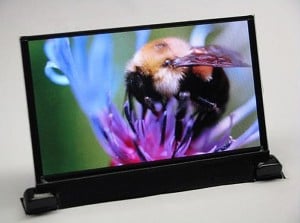 OLED
