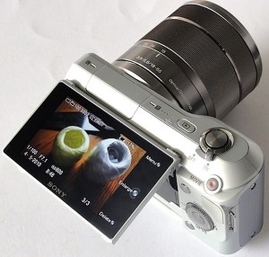 Sony EVIL NEX 3 Revealed
