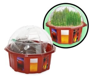 Grown Your Own Beer Garden