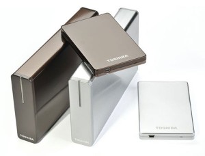 Toshiba Lightweight STOR.E Drives