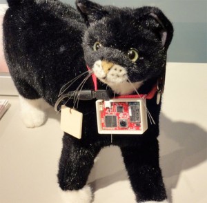 Sony's Latest Gadget Lets Your Cat Use Twitter