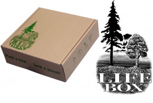 Life Box