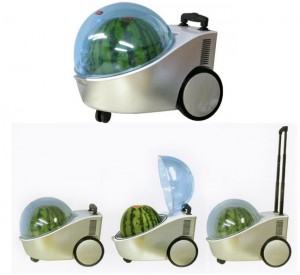 Portable Watermelon Cooler