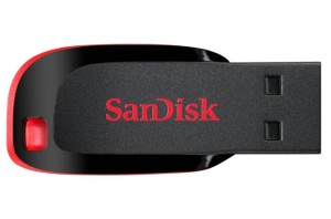 SanDisk Cruzer Blade USB Flash Drive